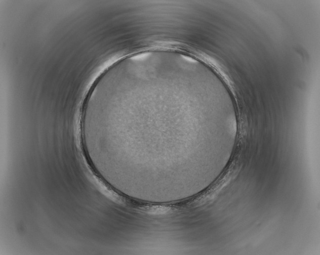 X0000112031235200909141049