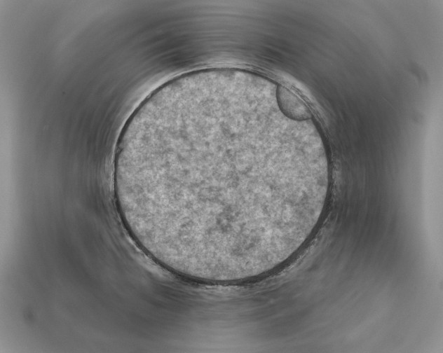 X0000112031236200909141050