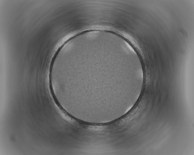 X0000112031237200909141050