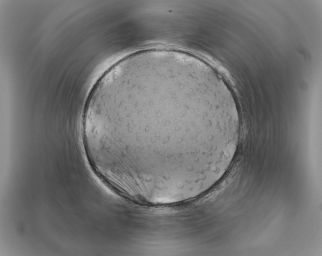 X0000112031239200909141050