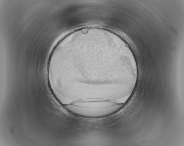 X0000112031240200909141050