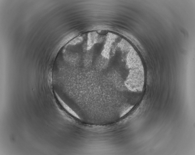 X0000112031241200909141050
