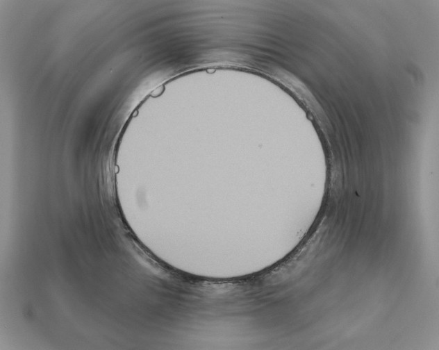 X0000112031242200909141050