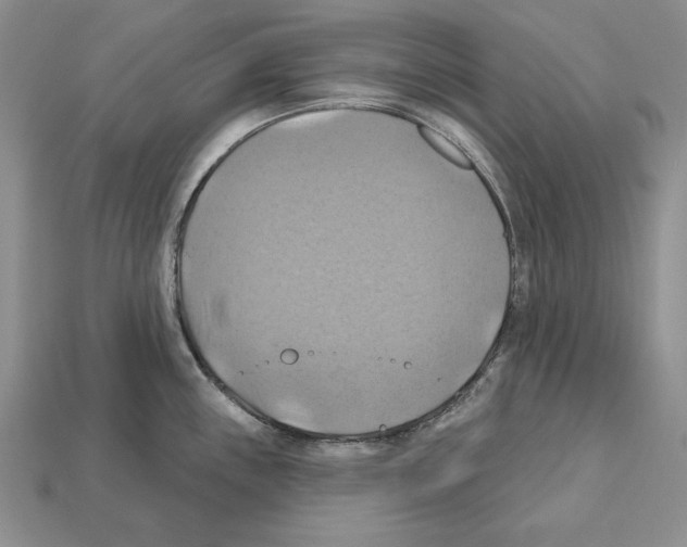 X0000112031243200909141050