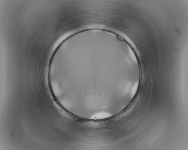 X0000112031245200909141050