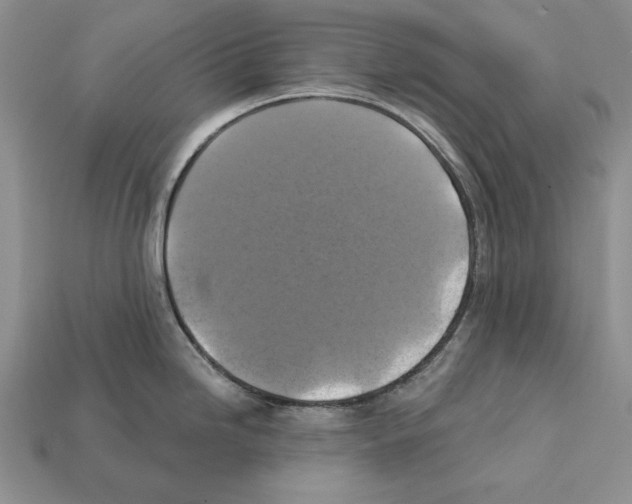 X0000112031246200909141050