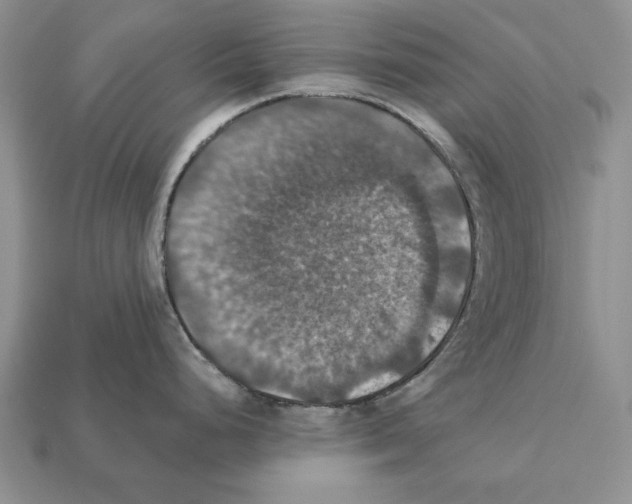 X0000112031248200909141050