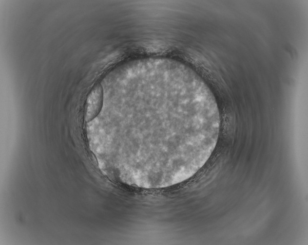 X0000112031249200909141049