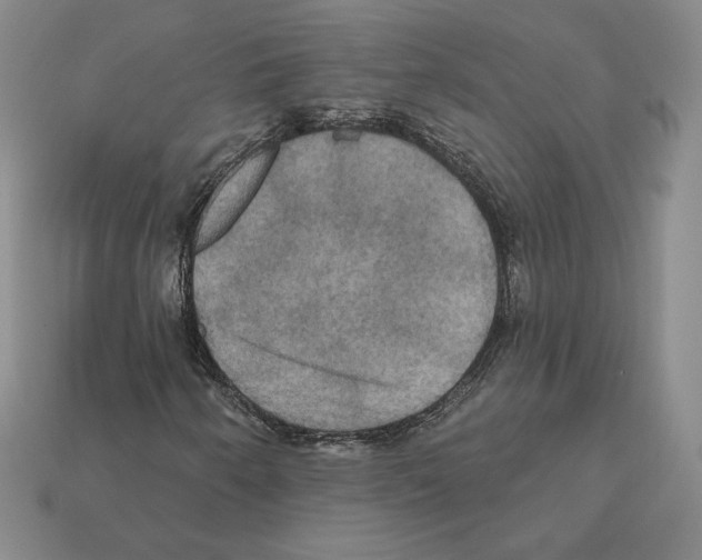 X0000112031250200909141049