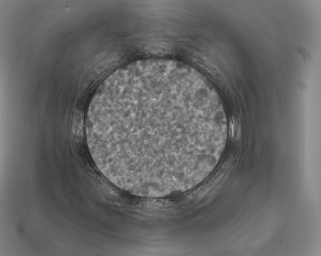 X0000112031251200909141049