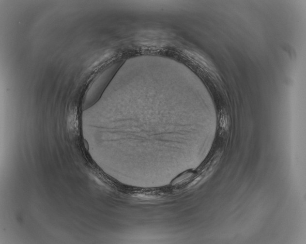 X0000112031252200909141049