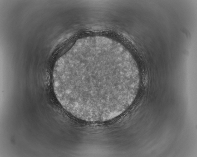 X0000112031253200909141049