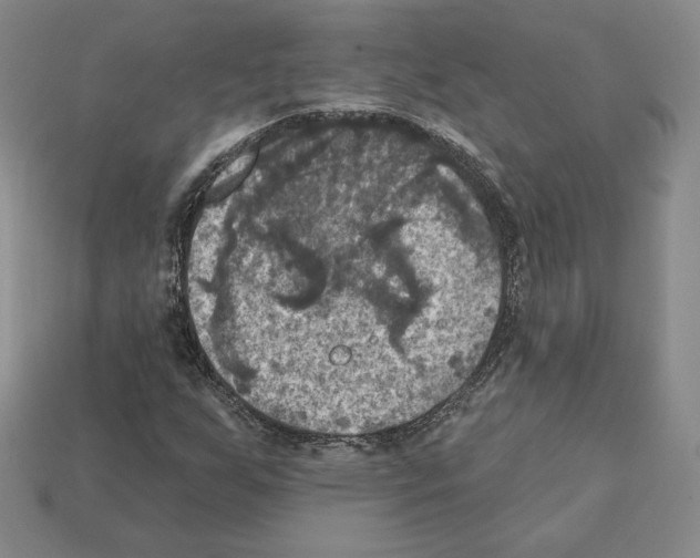 X0000112031255200909141049