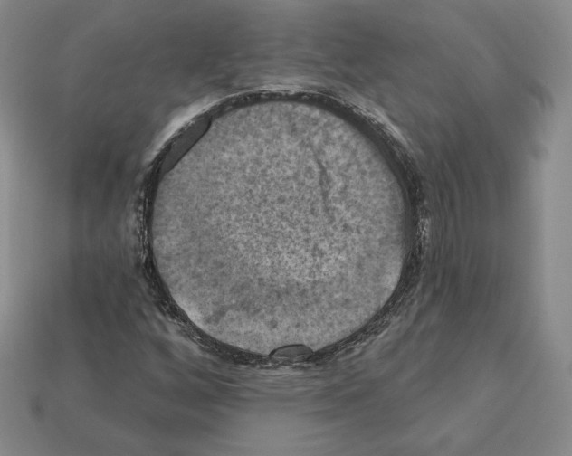 X0000112031256200909141049