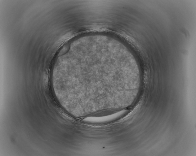 X0000112031257200909141049