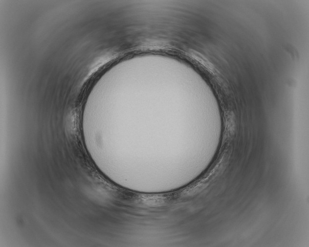X0000112031258200909141049