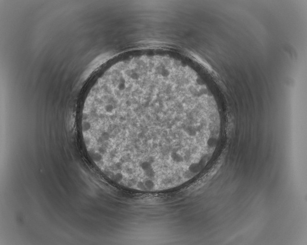 X0000112031259200909141049