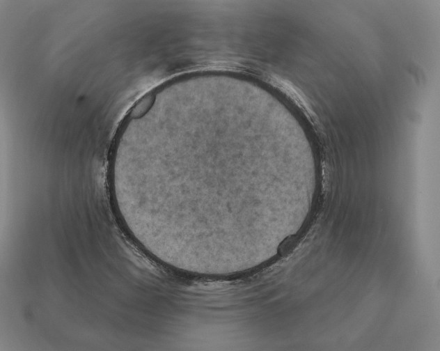 X0000112031260200909141049