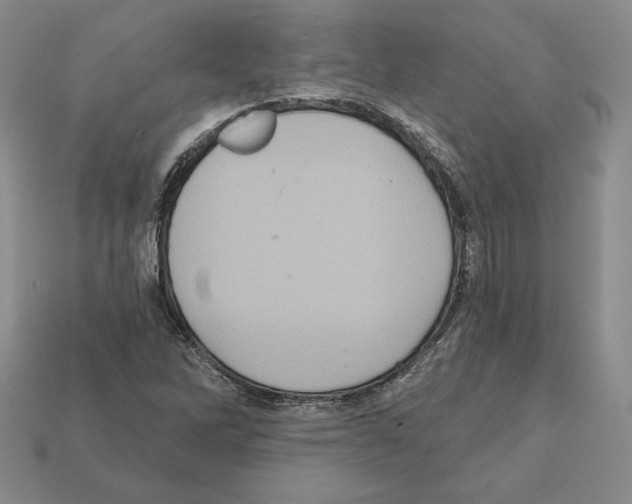 X0000112031262200909141049