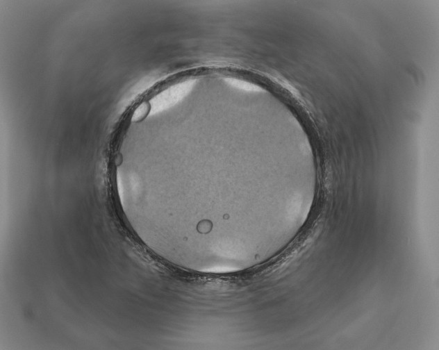 X0000112031263200909141049