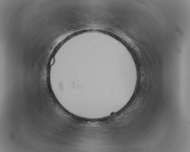 X0000112031264200909141049