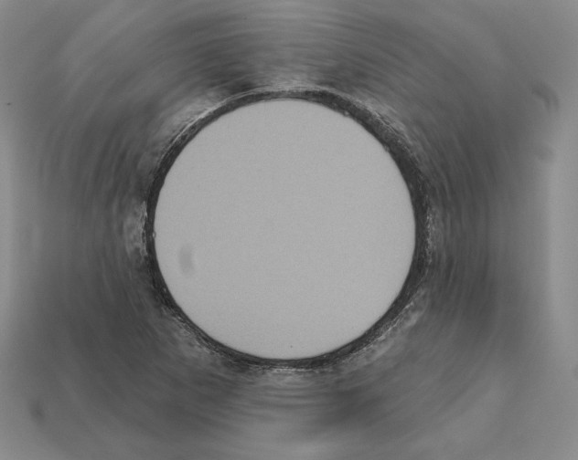 X0000112031265200909141049