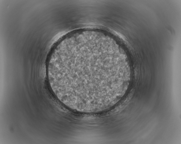 X0000112031267200909141049