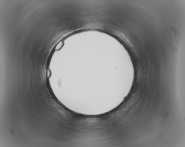 X0000112031268200909141049