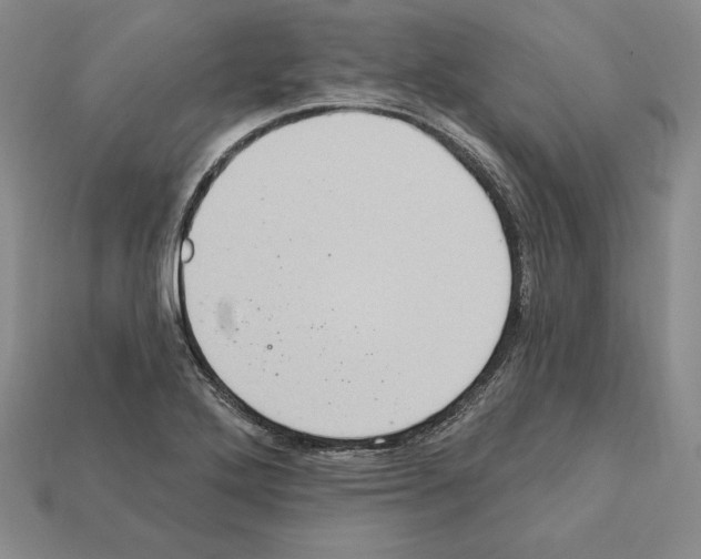 X0000112031272200909141049