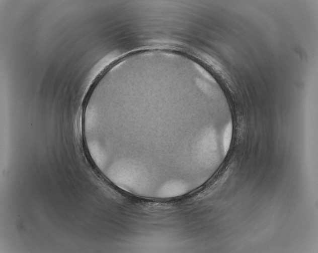 X0000112031275200909141049