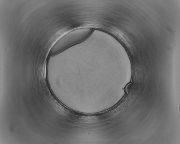 X0000112031276200909141049