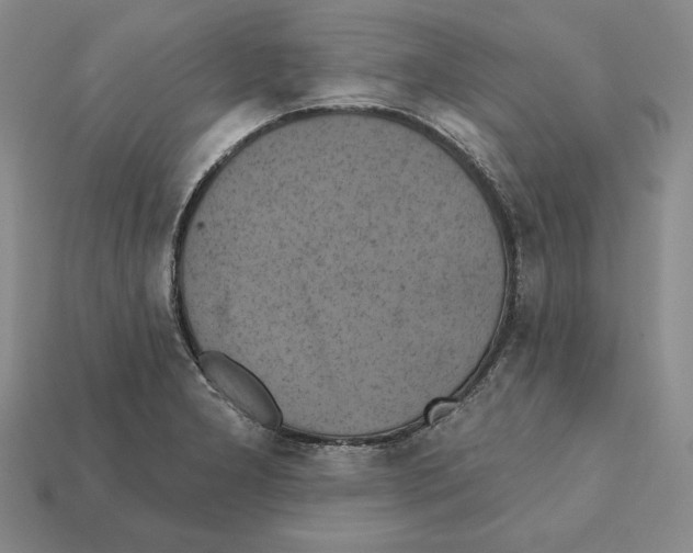 X0000112031277200909141049