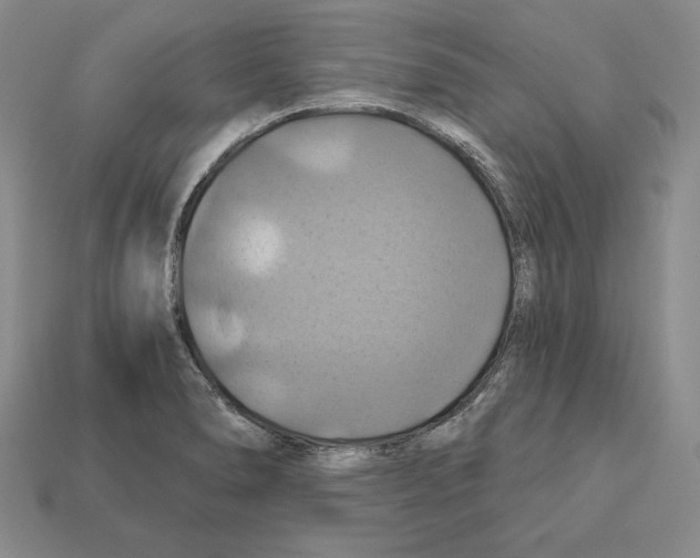 X0000112031278200909141049