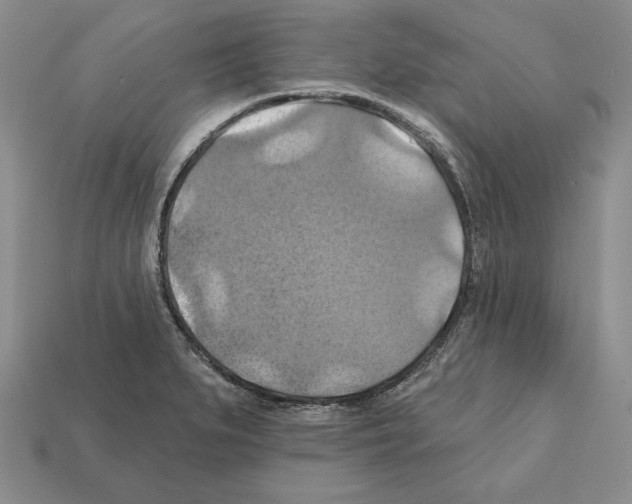 X0000112031279200909141049