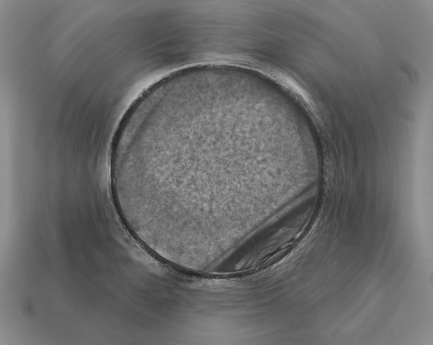 X0000112031280200909141049