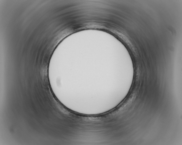 X0000112031281200909141049