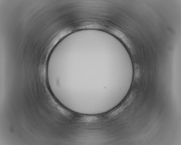 X0000112031282200909141049