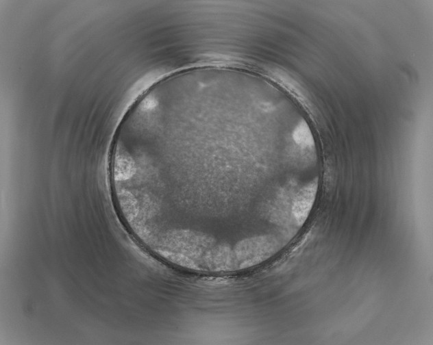 X0000112031283200909141049
