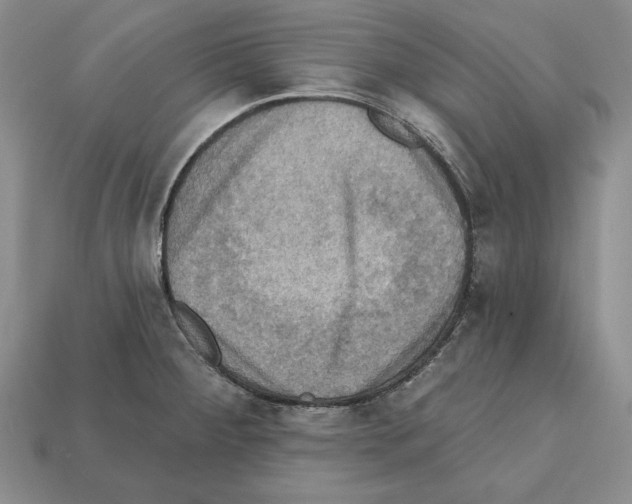 X0000112031284200909141049