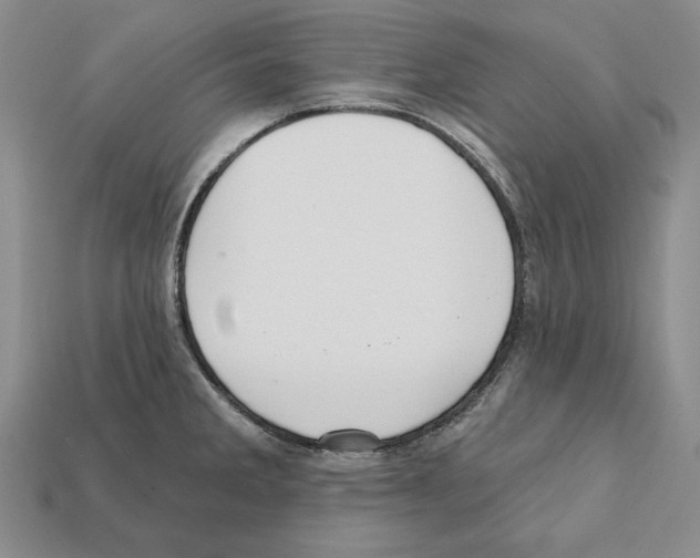 X0000112031285200909141049