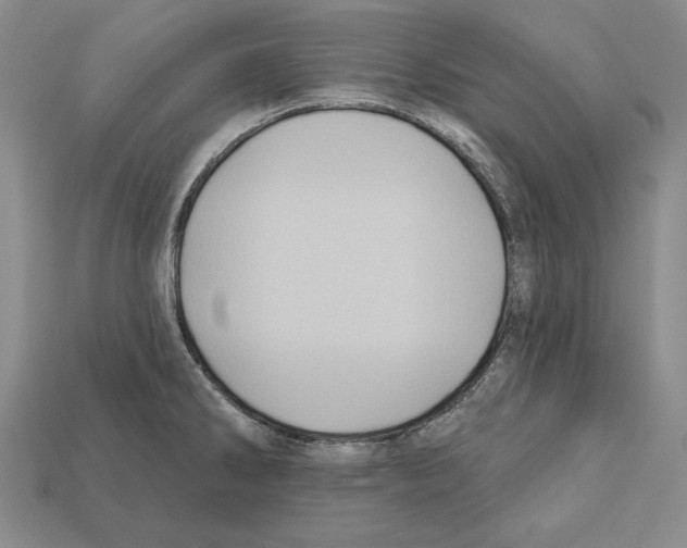 X0000112031286200909141049
