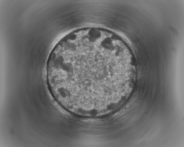 X0000112031287200909141048