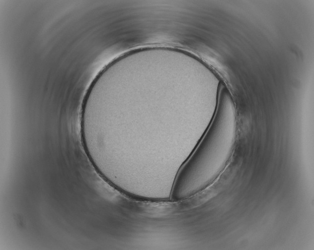 X0000112031288200909141048