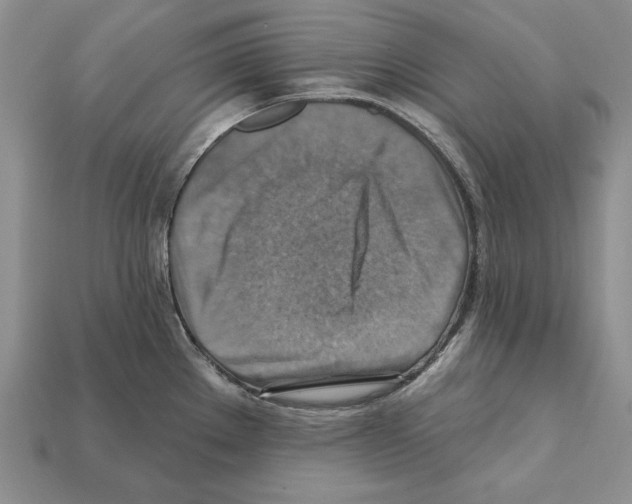 X0000112031289200909141048