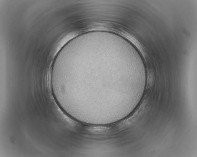 X0000112031290200909141048