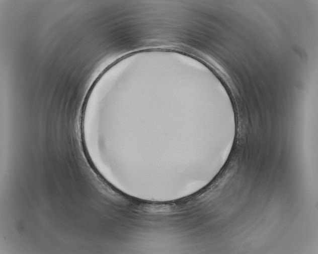 X0000112031291200909141048