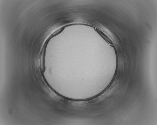 X0000112031292200909141048