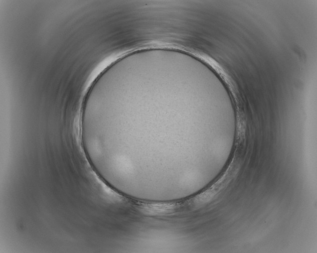 X0000112031294200909141048