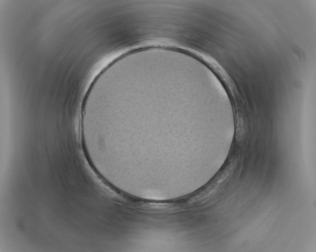 X0000112031295200909141048