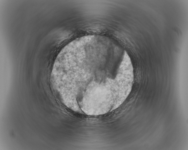 X0000112031297200909141048